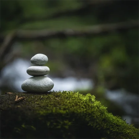 Chiropractic Amherst NH wellness HP
